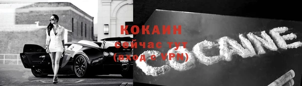 сатива Баксан