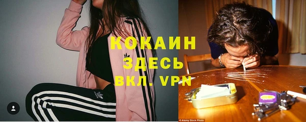 сатива Баксан